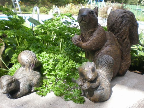 Statue de jardin d'écureuil