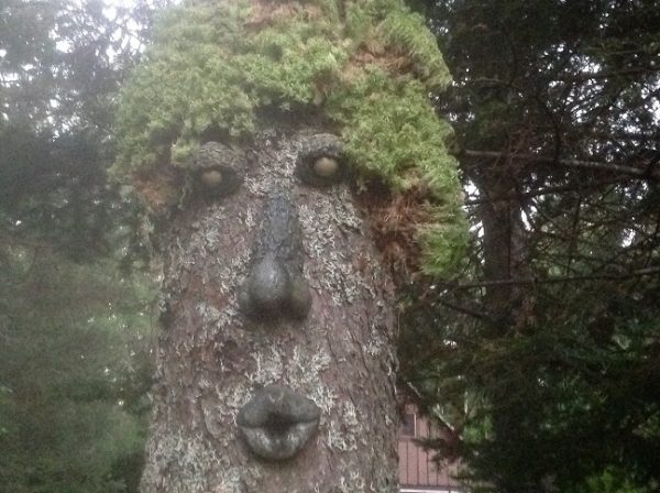 Face d'arbre 4 pièces